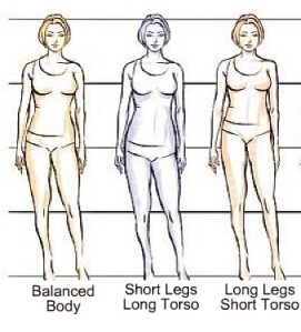Short Legs & Long Torso